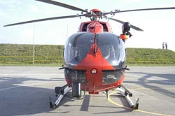 helico-varied (20)