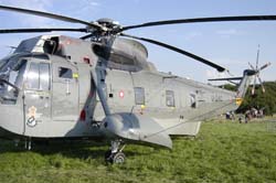 helico-varied (23)
