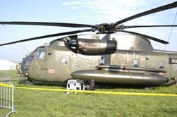 helico-varied (24)