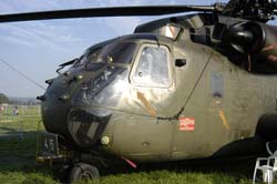 helico-varied (25)