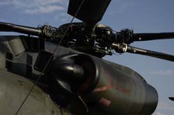 helico-varied (26)