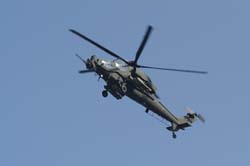 helico-varied (28)