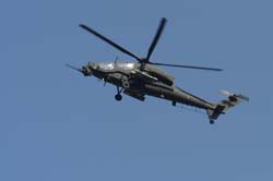 helico-varied (29)