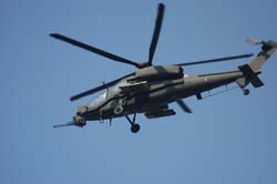 helico-varied (30)