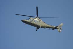 helico-varied (31)