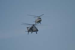 helico-varied (32)