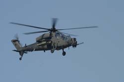 helico-varied (33)