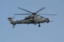 helico-varied (34)