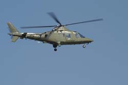 helico-varied (35)