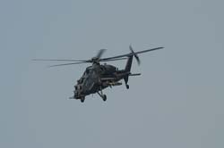 helico-varied (36)