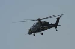 helico-varied (37)