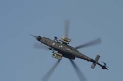 helico-varied (4)
