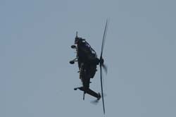 helico-varied (7)