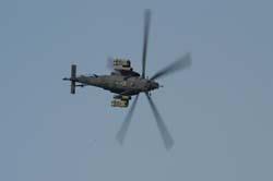 helico-varied (8)