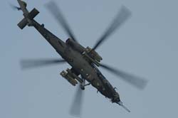 helico-varied (9)