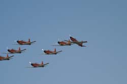 Pc7-team (1)