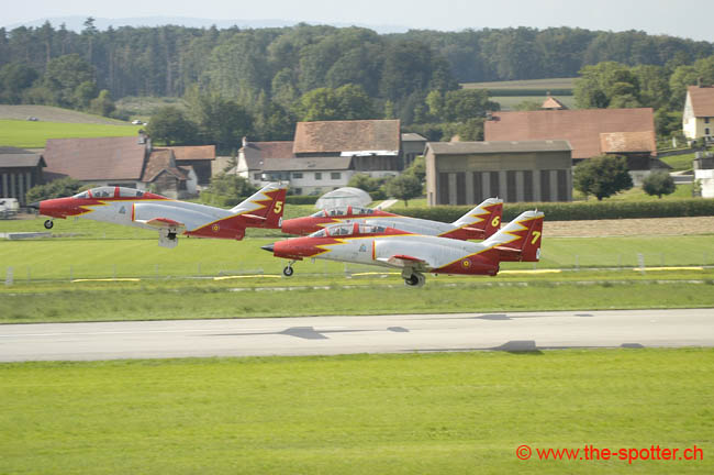 Team-Aguila (11)