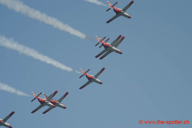Team-Aguila (19)