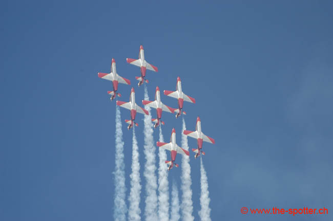 Team-Aguila (22)