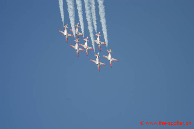 Team-Aguila (25)