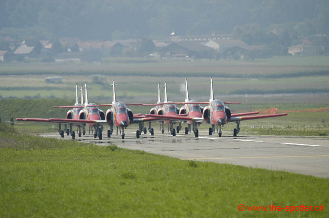 Team-Aguila (5)