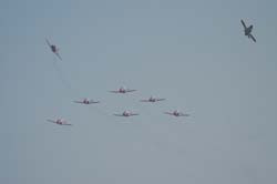 Team-Aguila (1)