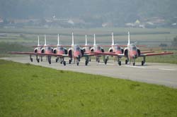 Team-Aguila (6)