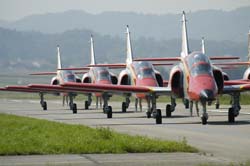 Team-Aguila (8)
