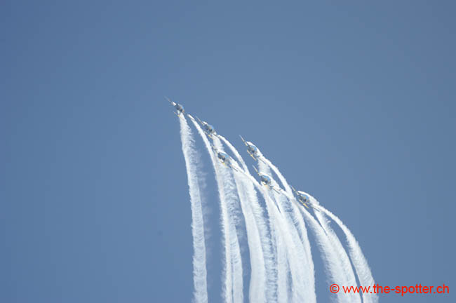 Team-60 (38)