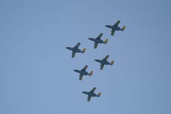 Team-60 (10)