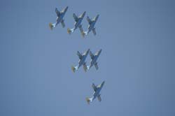 Team-60 (12)