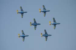 Team-60 (15)