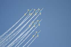 Team-60 (29)