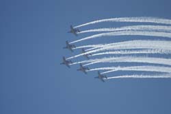 Team-60 (32)