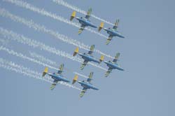 Team-60 (36)
