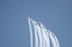 Team-60 (38)