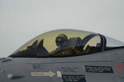 Falcon350Sq (67)