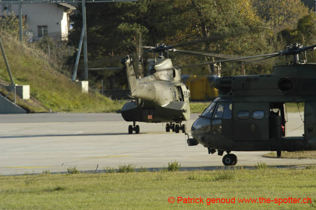 sion15-11-04 (59)