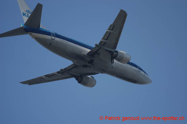 DSC_6469