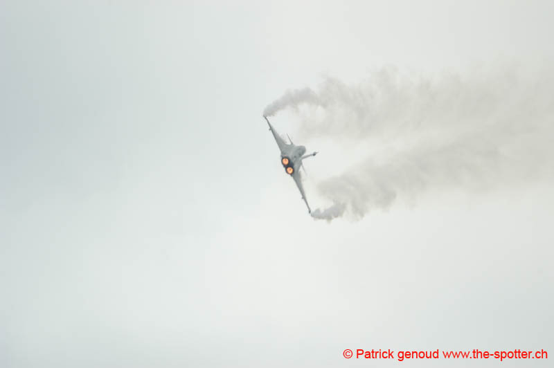 DSC_2589