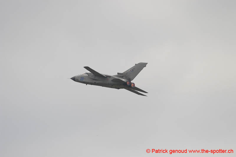 DSC_2896