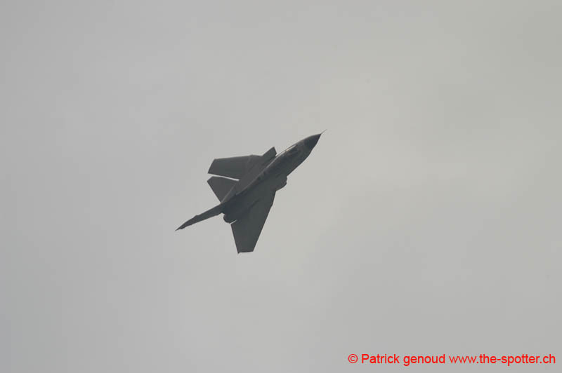 DSC_2901