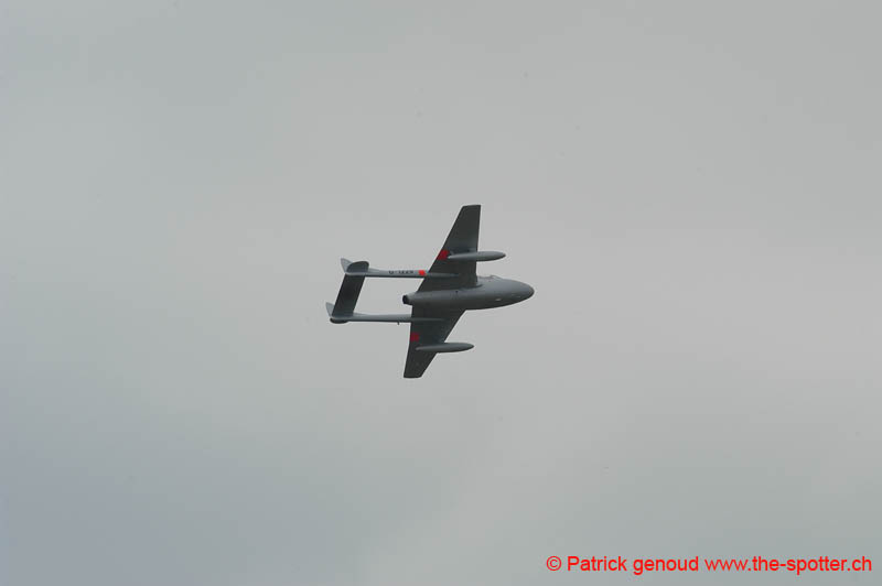 DSC_3006