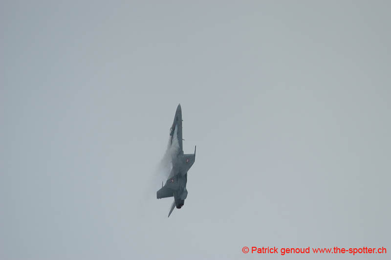 DSC_1137