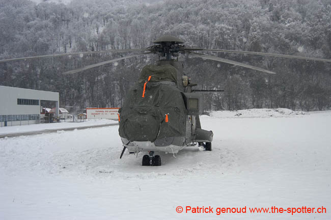 Super-puma.VIP (1)