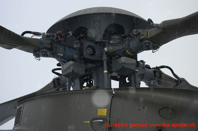 Super-puma.VIP (11)