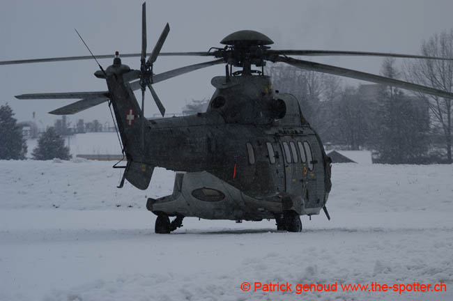 Super-puma.VIP (18)