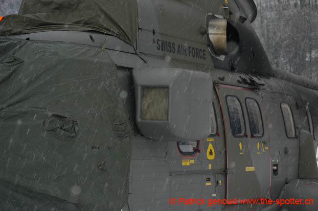 Super-puma.VIP (2)