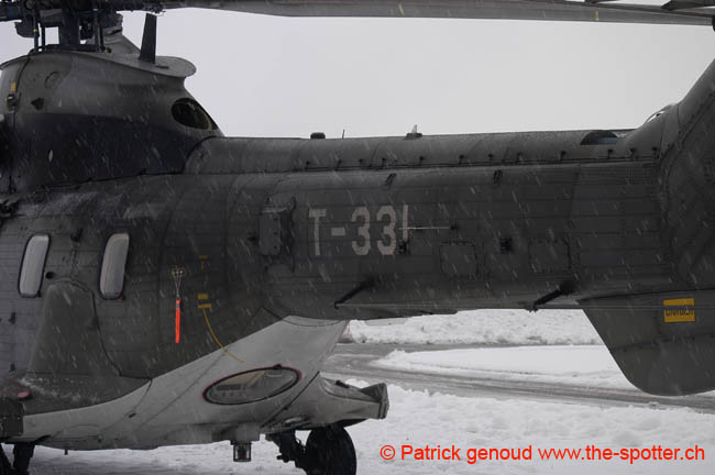 Super-puma.VIP (5)