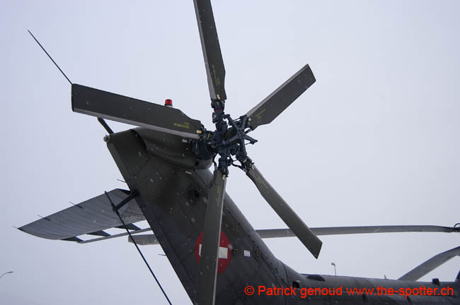 Super-puma.VIP (7)